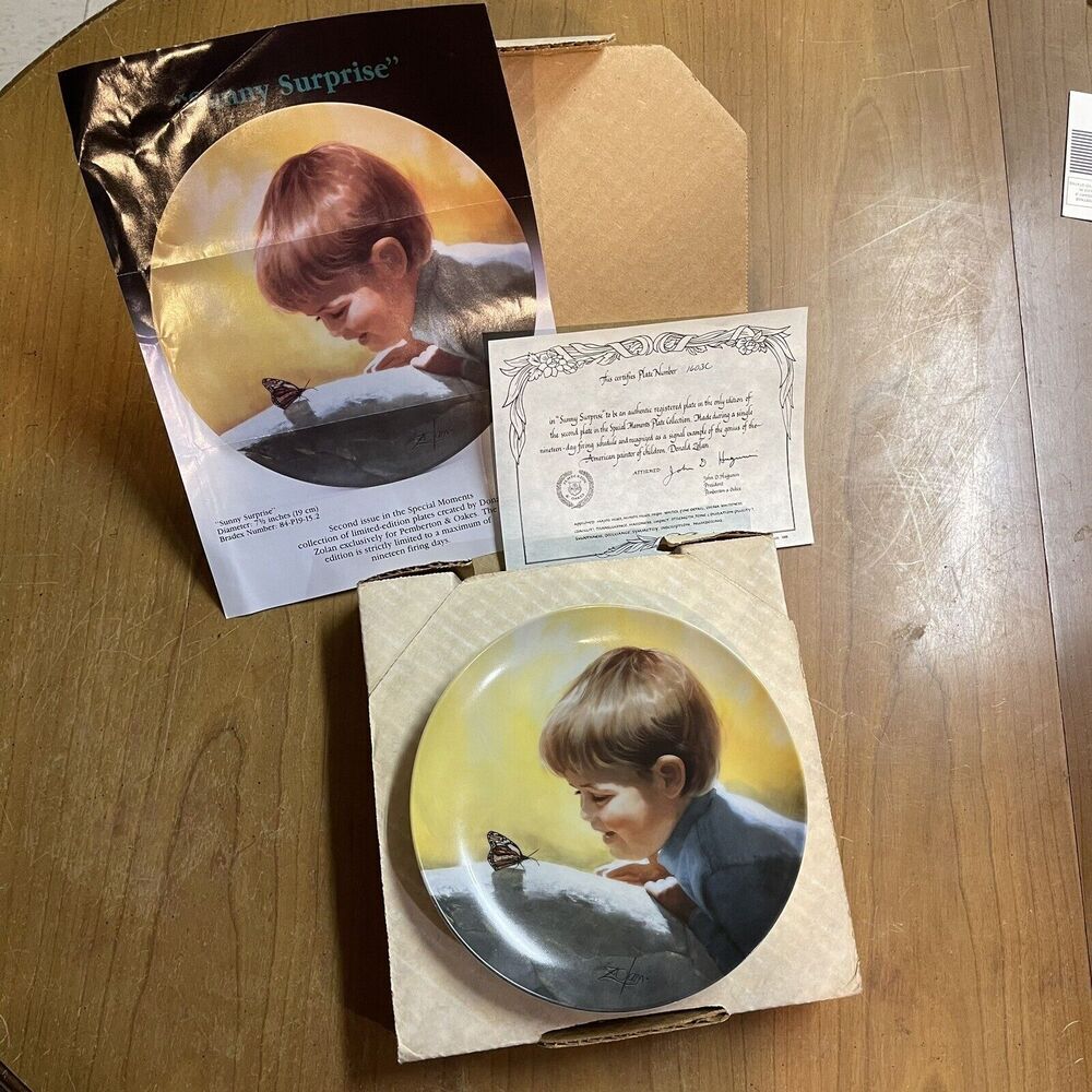 1988 Pemberton Oakes Plate Donald Zolan Sunny‎ Surprise Special Moments Plate